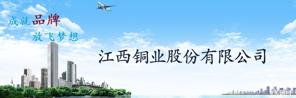 公司简介