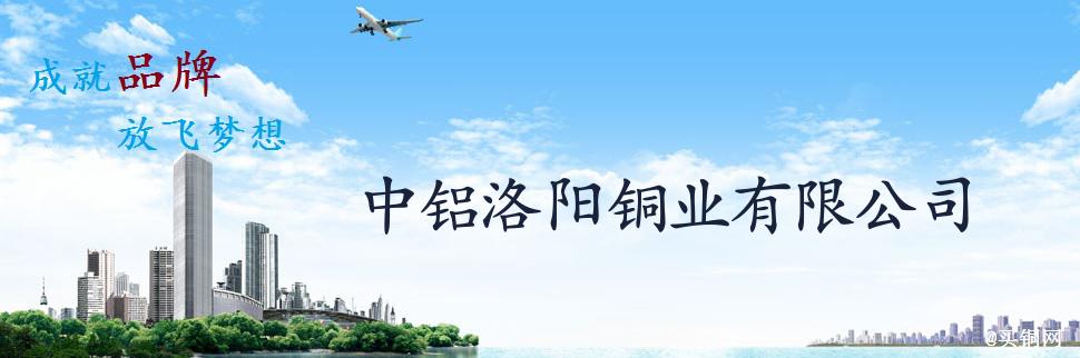 公司简介