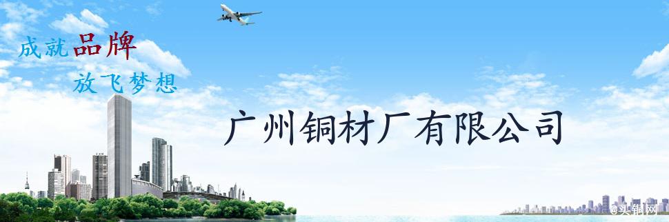 公司简介