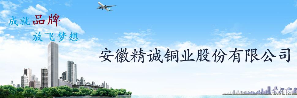 公司简介