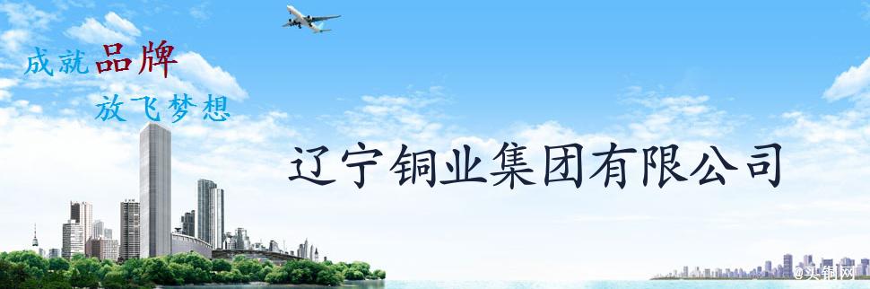 公司简介