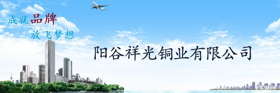 公司简介